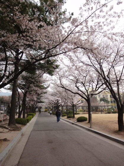 [DSC-WX1] 014.jpg